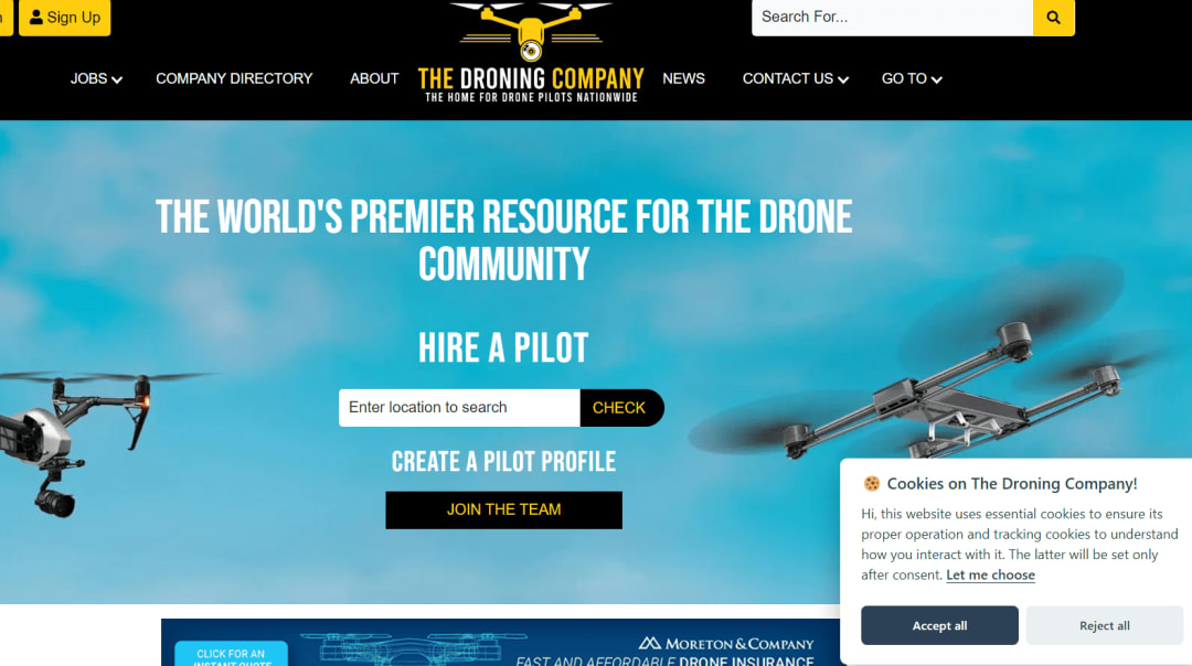 Project image for The droning company