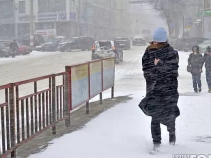 Синоптики обещают владимирцам снег с дождем и крепкие порывы ветра