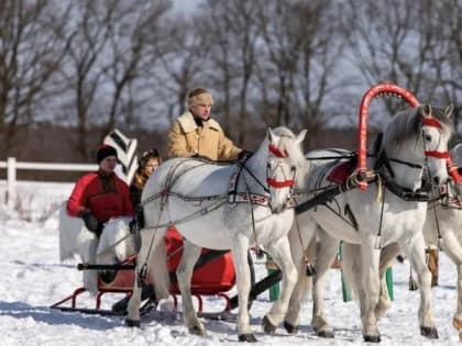 4-5 февраля в Петушинском районе пройдет 19-й фестиваль русской тройки