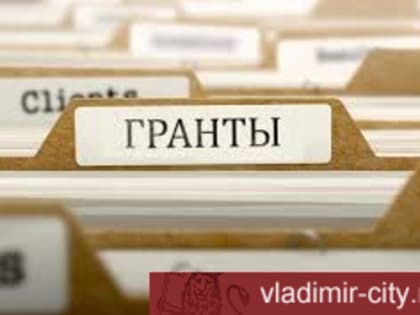 Стартовал конкурс на предоставление муниципальных субсидий социально ориентированным НКО