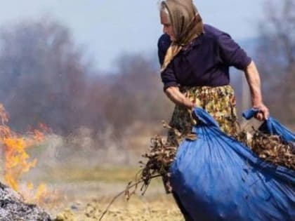 Во Владимирской области женщина оказалась в реанимации после сжигания травы во дворе