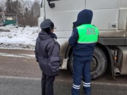 В Костромской области установлены факт вывоза лесопродукции без карантинного сертификата