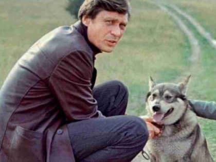 14 марта приемные семьи Владимирской области соберутся на слет «Вместе детям»