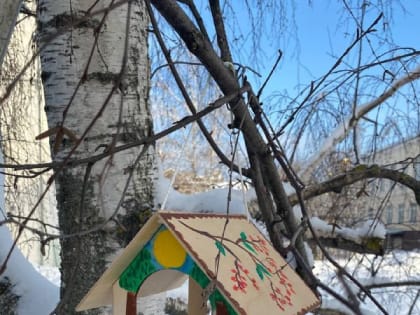 Акция «Покормите птиц зимой!»