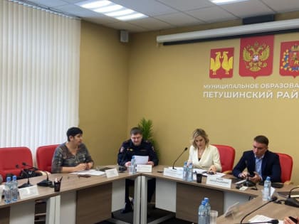 Начальник ОМВД России по Петушинскому району отчитался о  работе Отдела перед депутатами за 2022 год