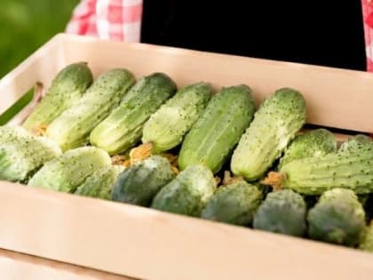 Ситуация с COVID-19 в городе: новые меры и рекомендации