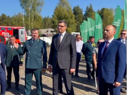 Двойной праздник в Судогде: День леса и День города