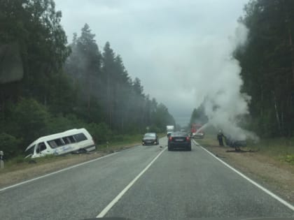 Трое взрослых и три ребёнка пострадали в аварии с участием автобуса