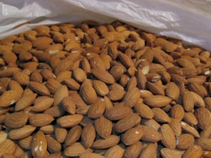 Под контролем инспекторов Управления Россельхознадзор на территорию Владимирской осуществлен ввоз более 79 тонн миндаля