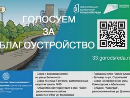 Голосуем за благоустройство Коврова