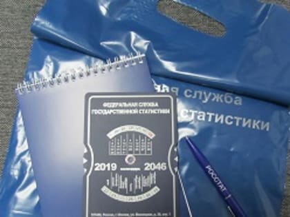 Интервьюеры Владимирстата будут проводить опросы во Владимирской области