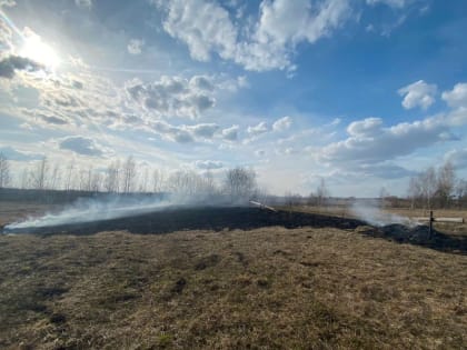 Во Владимирской области пожарные потушили первый весенний пал травы