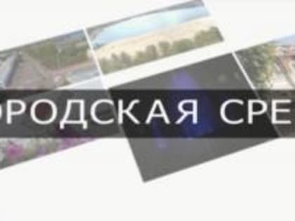 Вышел очередной выпуск программы "Городская среда" с участием главы города