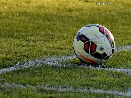 Что подготовили власти Владимира для самых спортивных на День города