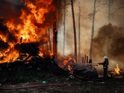 Пожар в Заклязьменском: жители объединились для борьбы с огнем