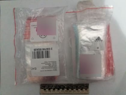 Во Владимирской области будут судить мужчину, из квартиры которого полицейские изъяли 92 грамма наркотиков