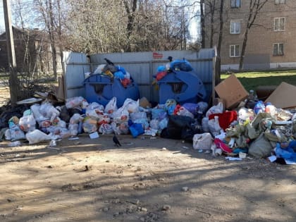 Губернатор обещает штрафовать всех, кто «допустил непорядок» с вывозом мусора. Это уже второе предупреждение Авдеева за последнюю неделю