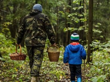 Отправляясь в лес, помните о личной безопасности