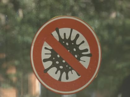 Рост заболеваемости COVID-19 во Владимирской области