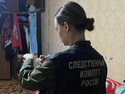 В Петушинском районе 21-летняя девушка зарезала своего молодого человека