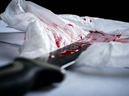 Во Владимире судили нижегородца, метнувшего нож в буйную новую знакомую