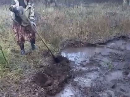 Во Владимирской области экстренные службы потушили торфяник