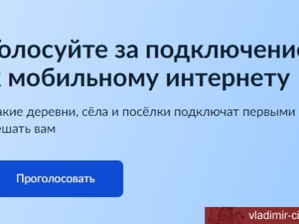 Владимирцы решат, где появится интернет
