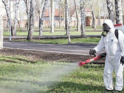 Во Владимире началась противоклещевая обработка парковых зон