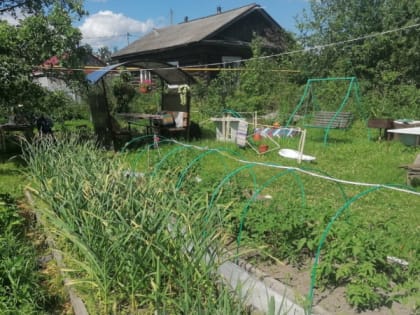 Секреты успешного огородничества