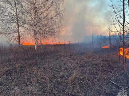 Сотрудники МЧС при помощи добровольцев смогли отстоять деревню от пала сухой травы