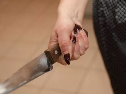 В Кольчугино осудили женщину, которая в результате самообороны ударила сожителя ножом