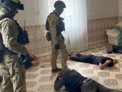 Возбуждено уголовное дело против жителей цыганской национальности в поселке Балакирево Владимирской области