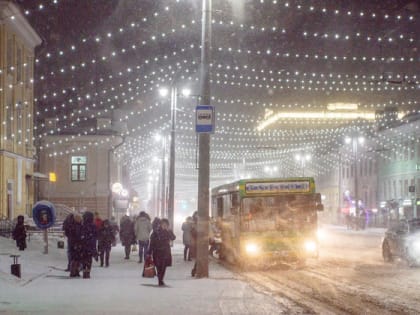 На Владимирскую область надвигаются метель и штормовой ветер