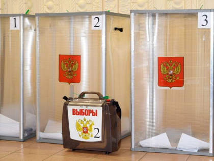 29 процентов избирателей проголосовали на выборах губернатора Владимирской области