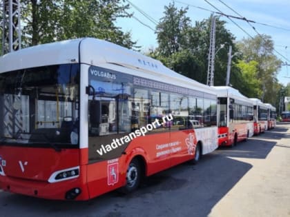 Во Владимир прибыла первая партия мини-Волгабасов