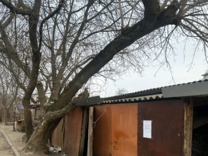 Первое требование ул. Сакко и Ванцетти, дд. 78, 80