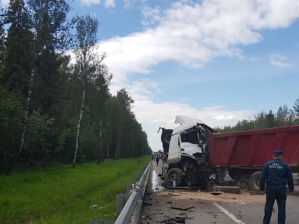 За неделю во Владимирской области в ДТП погибло 10 человек