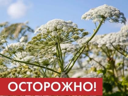 АДМИНИСТРАЦИЯ ФРУНЗЕНСКОГО РАЙОНА ИНФОРМИРУЕТ