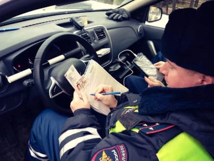 Избивший сотрудника ГИБДД водитель получил 1,5 года колонии