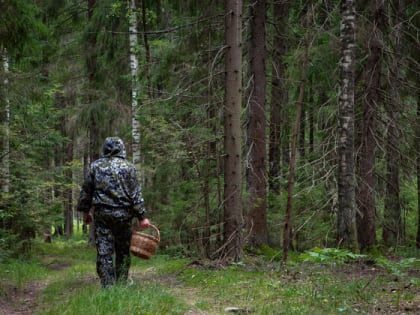 Особо охраняемые природные территории будет курировать департамент лесного хозяйства