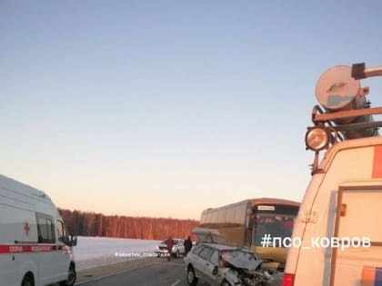Спасатели во Владимирской области извлекли пострадавшего в ДТП с автобусом