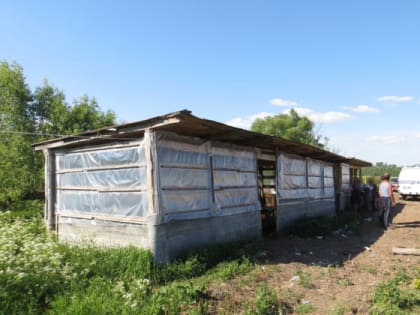 В Юрьев-Польском обнаружена деревня гастарбайтеров