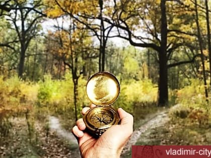 Собираясь в лес, помните о безопасности