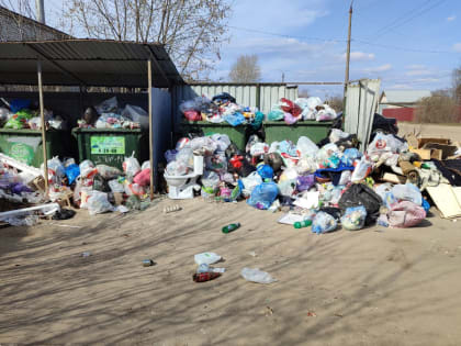 Прокуратура возложила на региональное Минприроды ответственность за «мусорный» коллапс в Ковровском районе