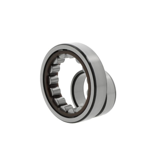NU1007  ECP SKF