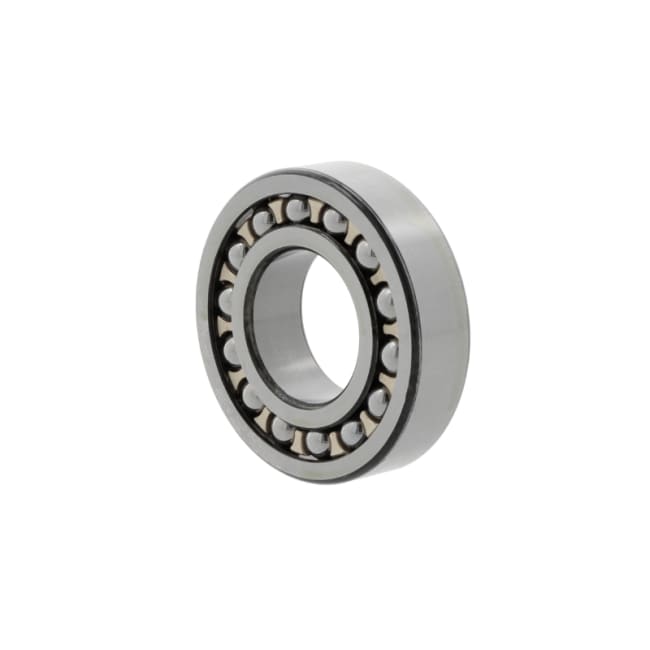 2306  M/P6 SKF