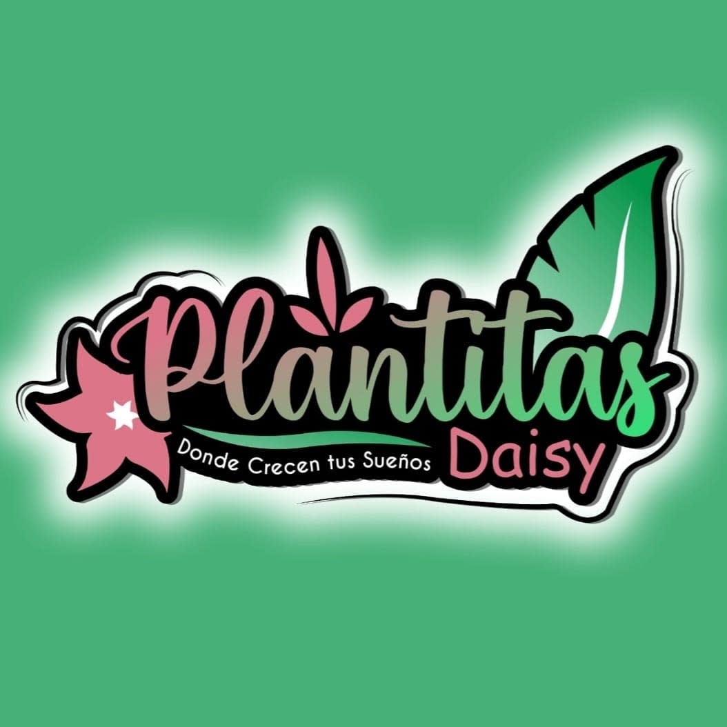 Daisy Vargas logo