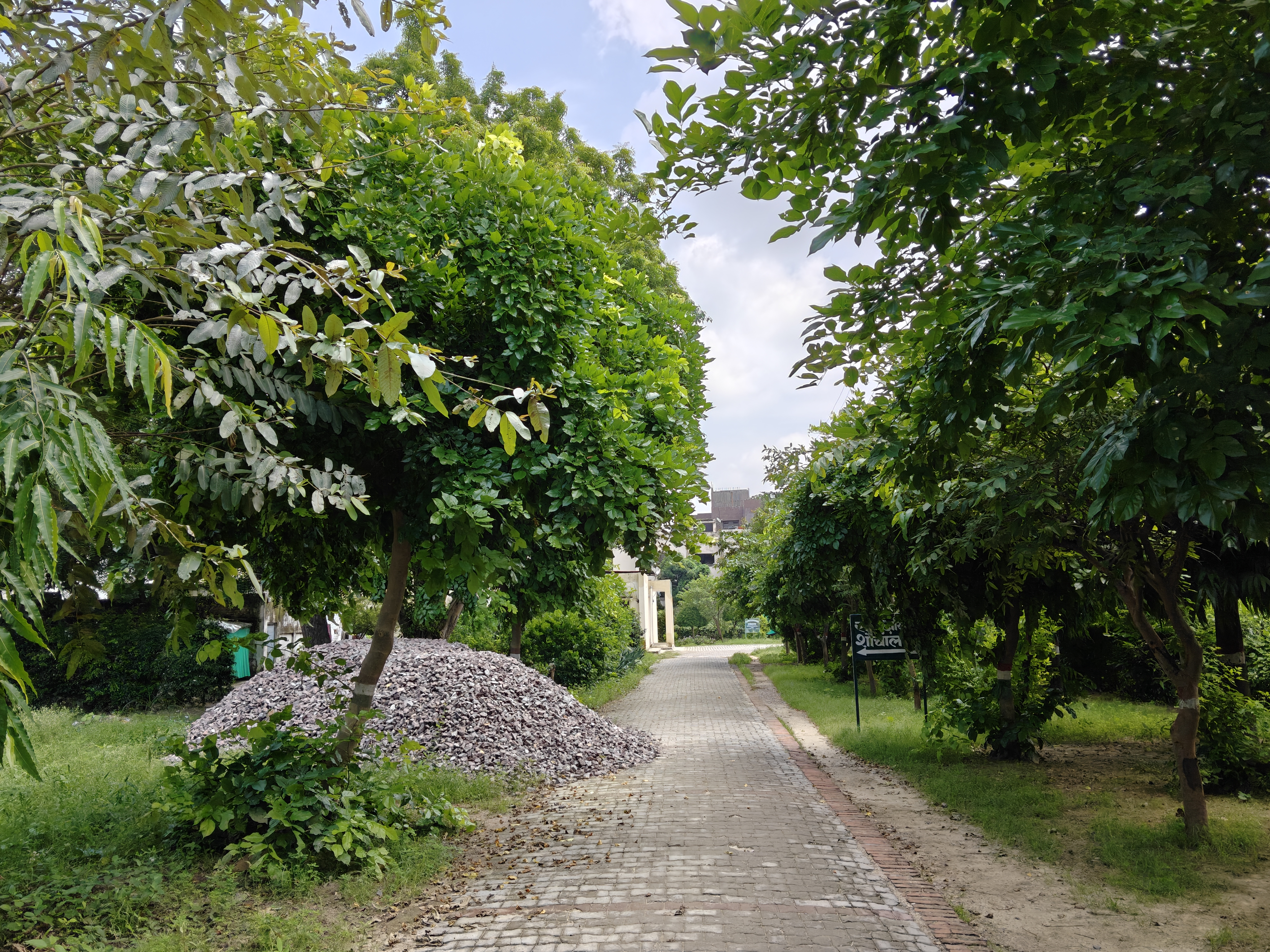 IMG20250810105057 jugyet