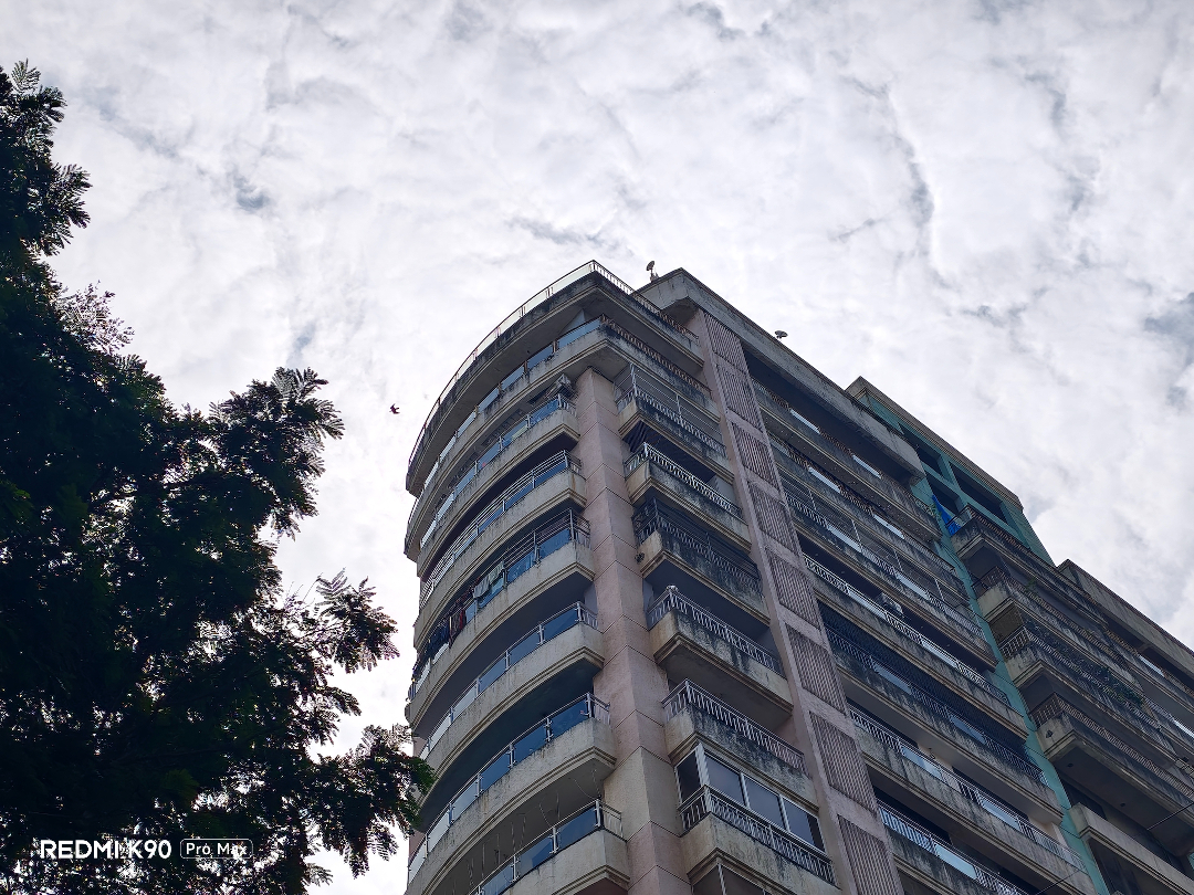 IMG 20251101 132305 1 levu7c