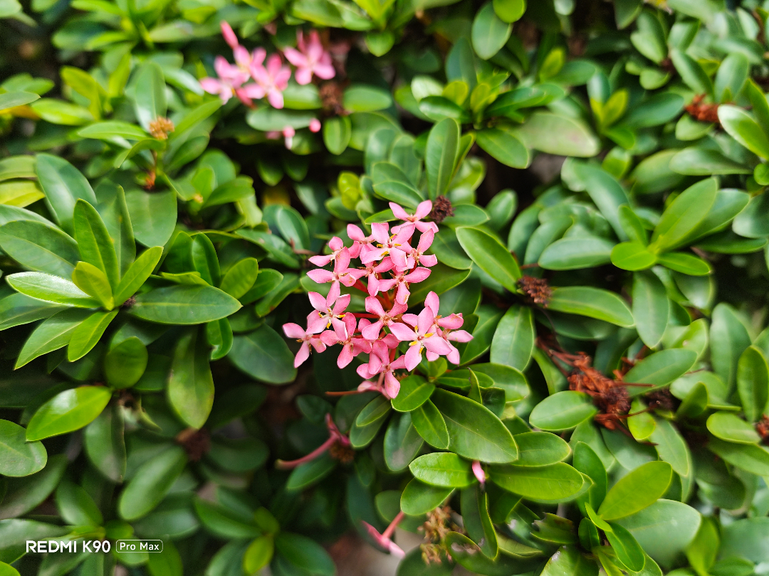 IMG 20251101 140654 1 lwnnau